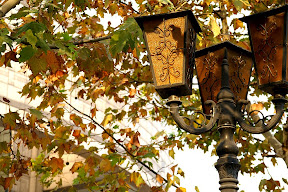 http://lh6.google.com/fotoByMe/R1F_fFL87_I/AAAAAAAAGvg/a73t9Ze4Pew/s288/PICT0037.JPG