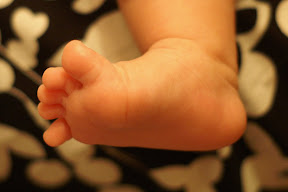 http://lh6.google.com/fotoByMe/RtBAMGodtoI/AAAAAAAAFns/pDwa66V5Ink/s288/PICT0018.JPG