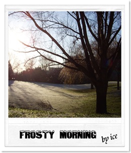 frost6