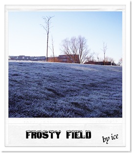 frost12