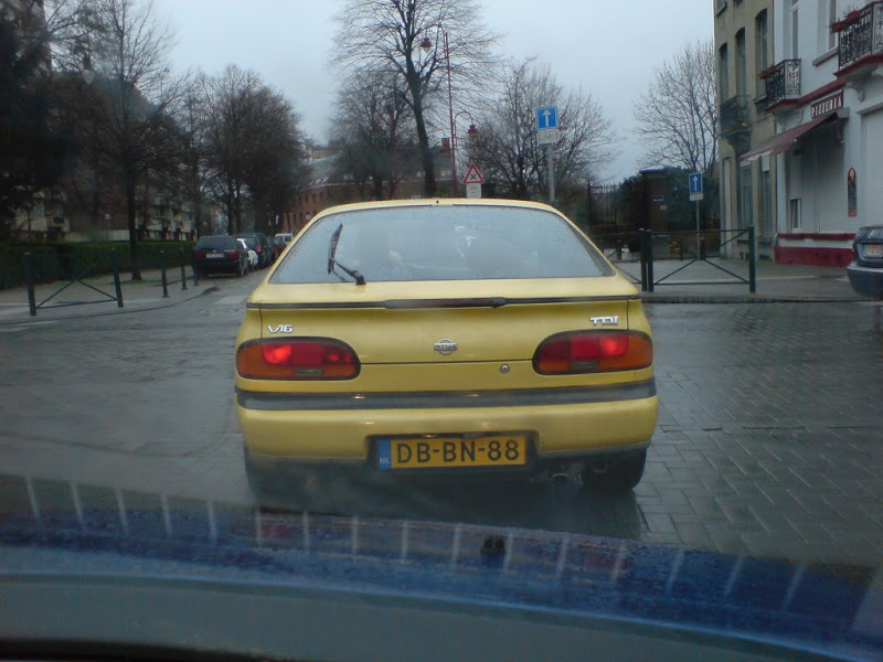 [Image: DSC00587.JPG.jpg]