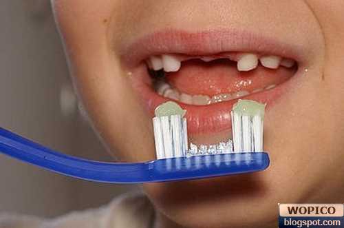 New Design Tooth Brush