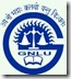 Faculty and Administrative Job in GNLU 2017 