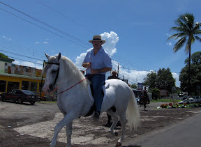 Sabanero