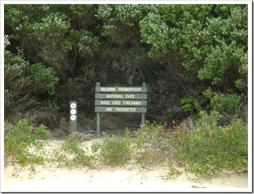 0710Wilsons Promontory 091