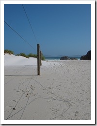 0710Wilsons Promontory 011