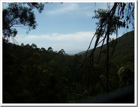 0710Wilsons Promontory 084