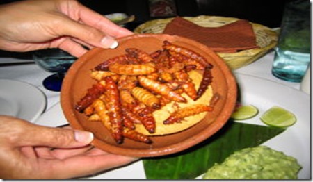 larva