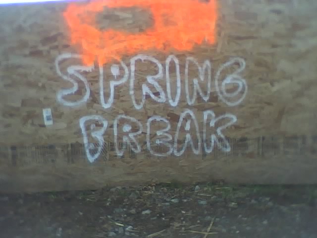 03-18-08_1248.jpg