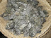 DSCN3172.JPG