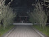 DSCN3330.JPG