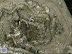 DSCN3387.AVI