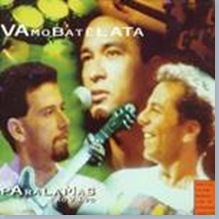 paralamas do sucesso