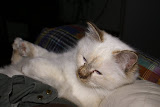 DSC05340.JPG
