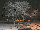 DSCN0822.JPG