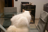 DSC05105.JPG