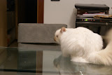DSC05113.JPG