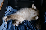 DSC05161.JPG