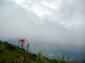DSCN1774.JPG