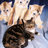 My Photos