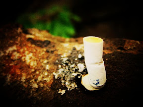 http://lh6.google.com/image/amberlmq/RiQdt4aG2aI/AAAAAAAAC2o/PpFQNthzP4M/s288/%E7%85%99%E8%92%82.jpg