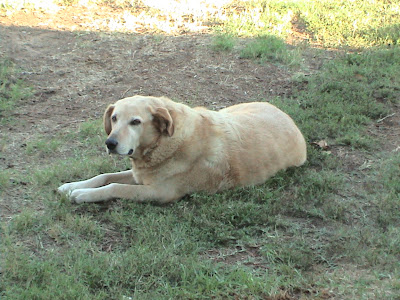 DSC00077.JPG