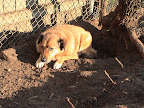 DSC00079.JPG