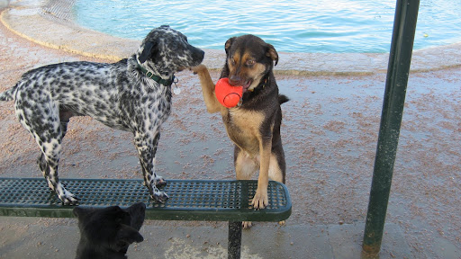 IMG_9004.JPG?imgmax=512