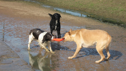 IMG_9015.JPG?imgmax=512