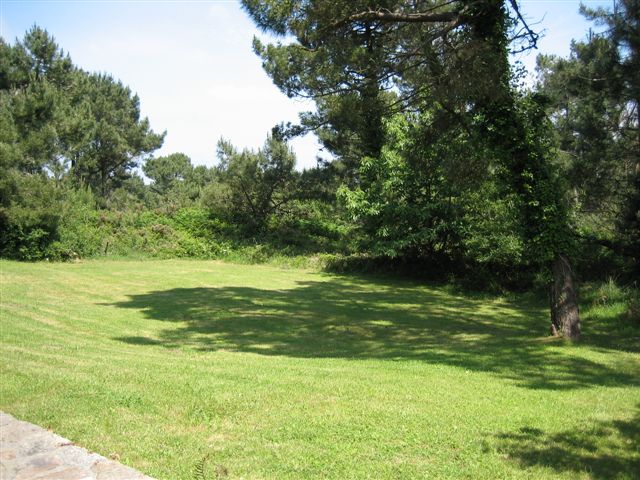 jardin vu de la terrasse
