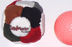 thumbnail photo SandMaster Footbag