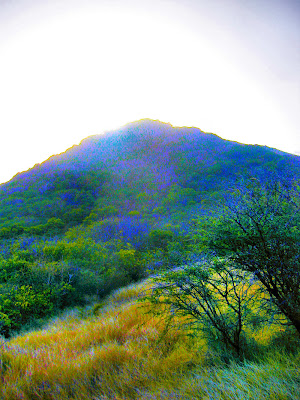 Martinique's Hill