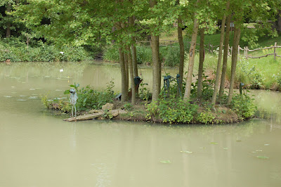 frogs