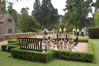 Chess board