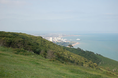 Eastbourne from Beachy Head