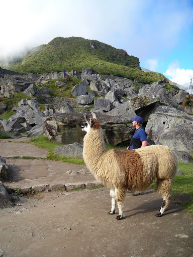 drew and llama at machu picchu