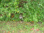 Dsc04494