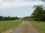 Dsc04497
