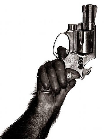 pictures of monkeys with guns. War Monkeys!