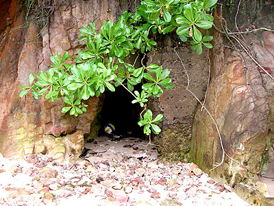 Sentosa caves