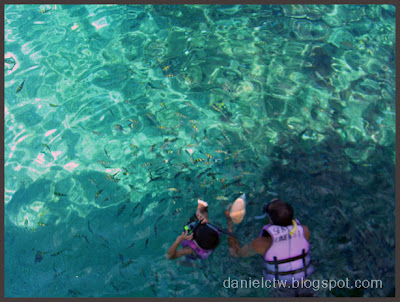 Marine Park fish