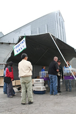 Poultry Sale photo