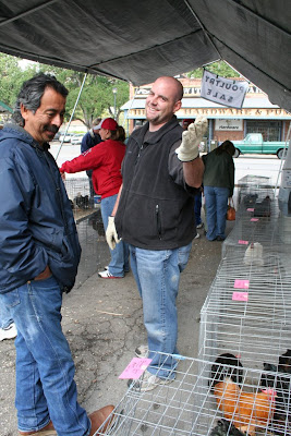 Poultry Sale photo