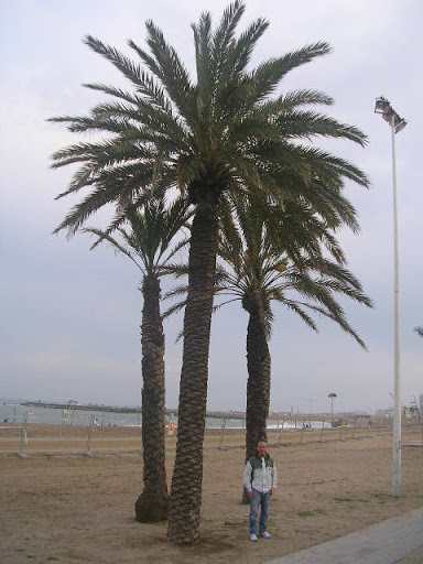 A Barceloneta