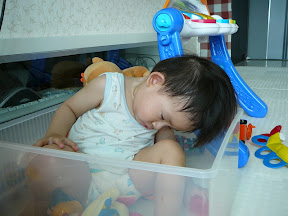 翎安睡在玩具箱
