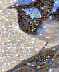 0-1-P2100094 Mosaic