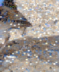 1-1-P2100094 Mosaic