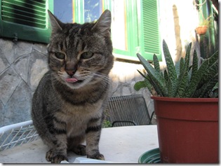 titta (4)