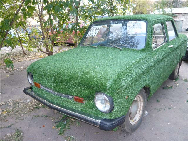 [grass_car (2).jpg]