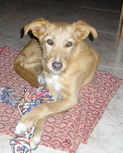 La meva foto